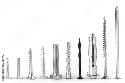 Screws stand in line on white background.