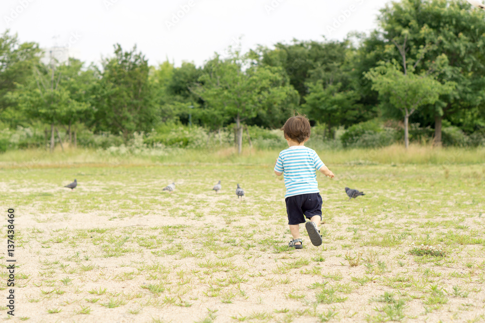 子供　鳩　追いかける