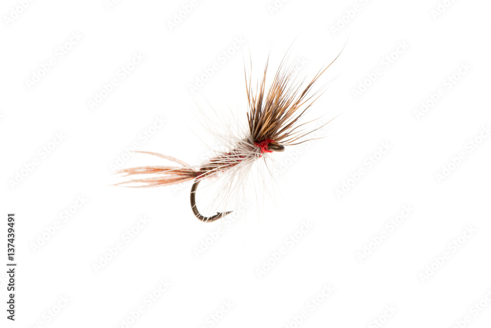 Fishing Lure or Fishhook Cut Out Fishing Lure or Fishhook Cut Out