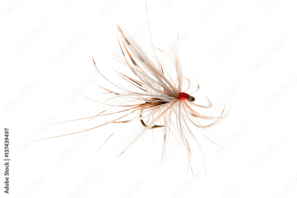 Fishing Hook for Fly Fishing Cut Out Fishing Hook for Fly Fishing Cut Out