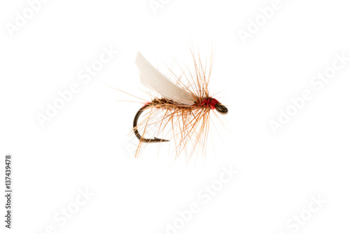 Fishhook or Trout Fly Cut Out