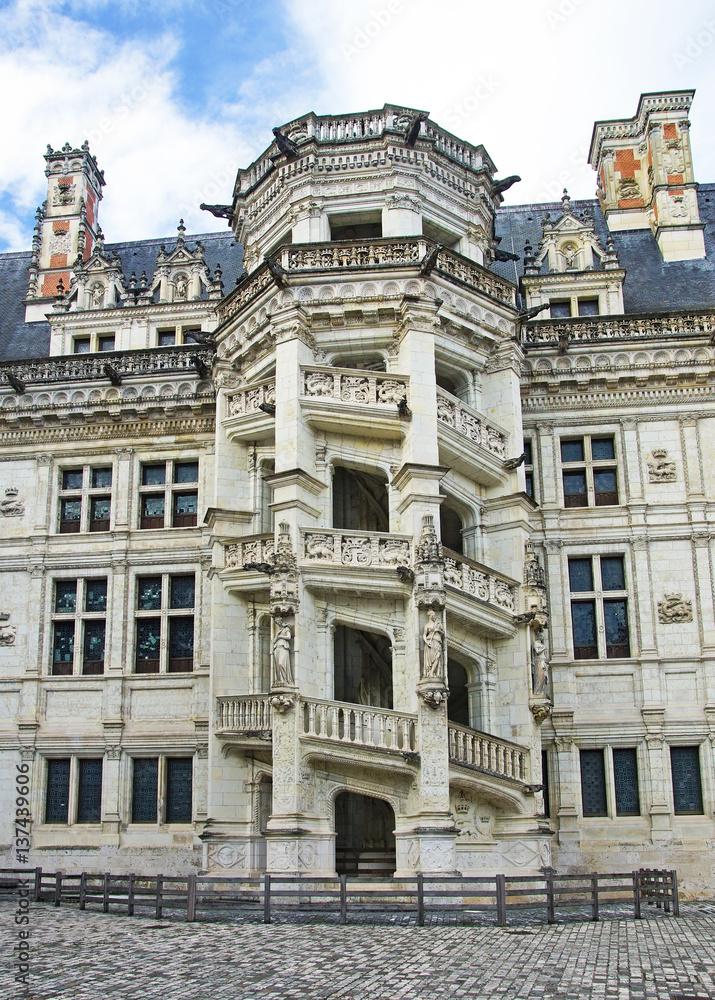 Fototapeta premium escalier du château de Blois