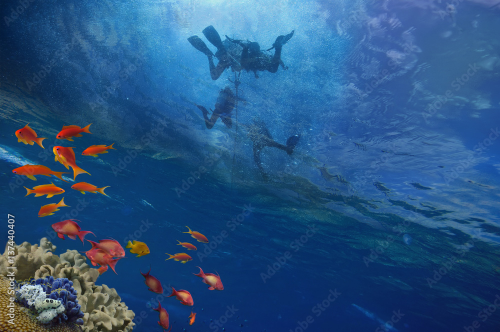 Fototapeta premium Divers on a rope underwater