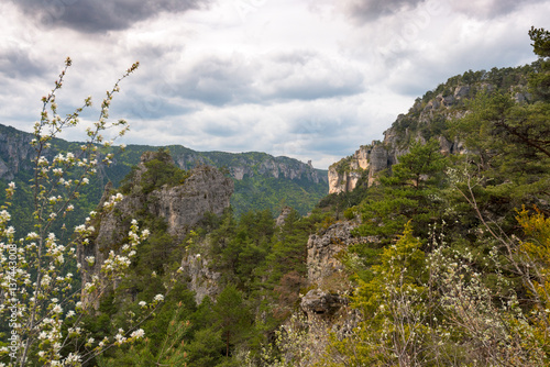 Jonte gorge, France