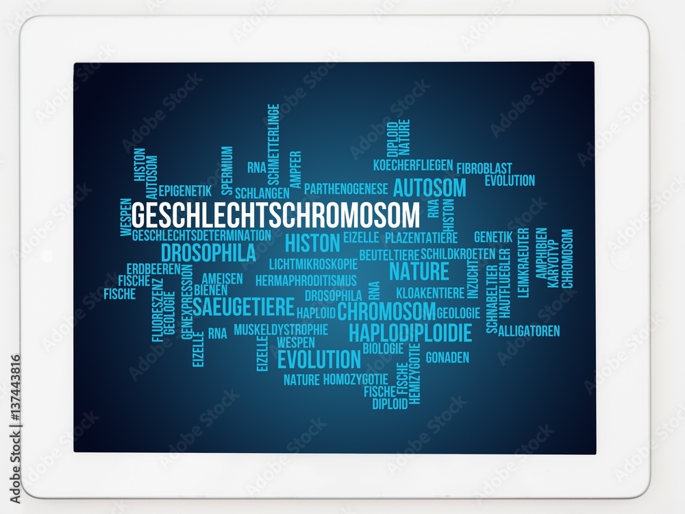 Geschlechtschromosom Geschlechtschromosom
