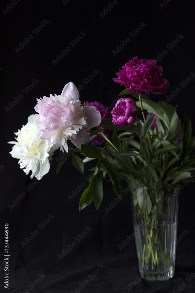 Flowers on a dark background Flowers on a dark background