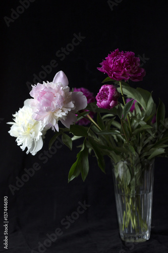 Flowers on a dark background