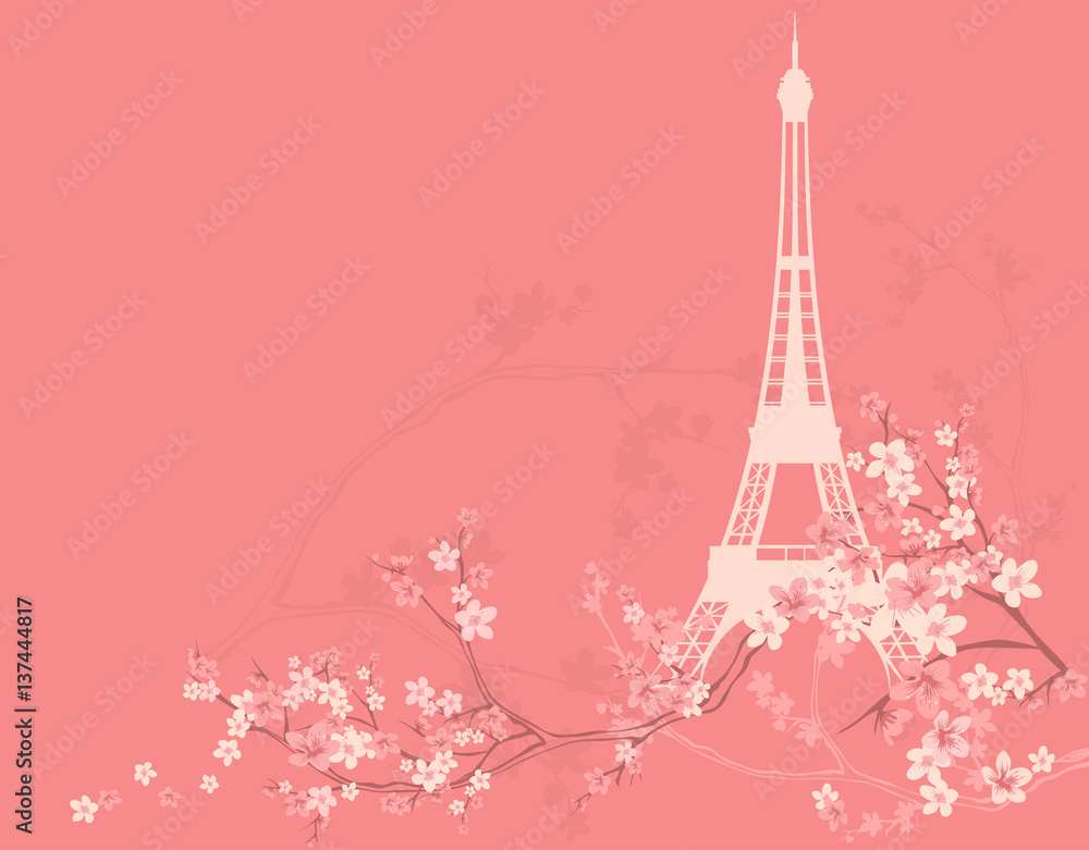 spring Paris vector background with eiffel tower silhouette among blooming sakura tree branches