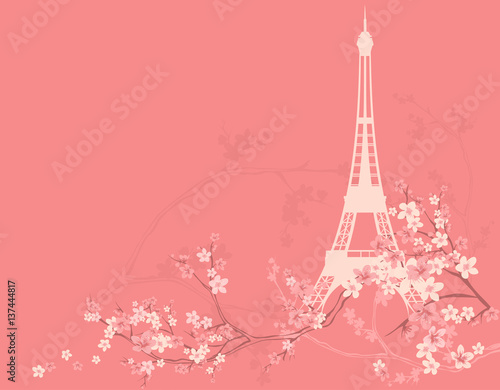 Fototapeta Naklejka Na Ścianę i Meble -  spring Paris vector background with eiffel tower silhouette among blooming sakura tree branches