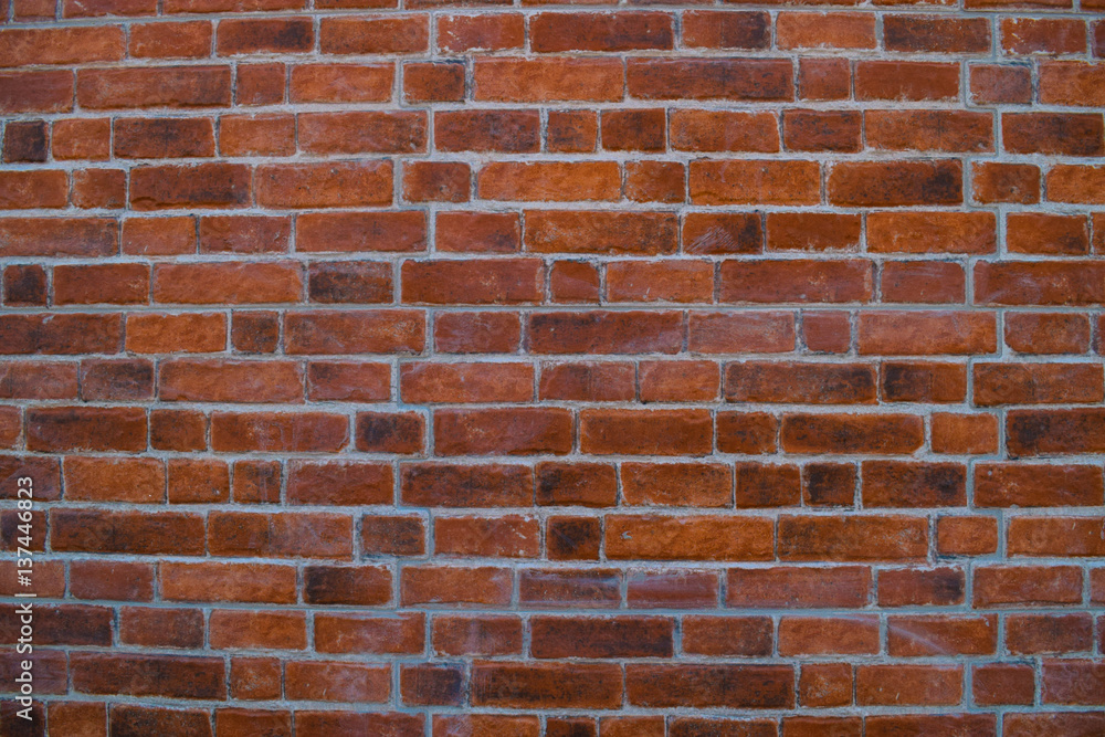 wall wall