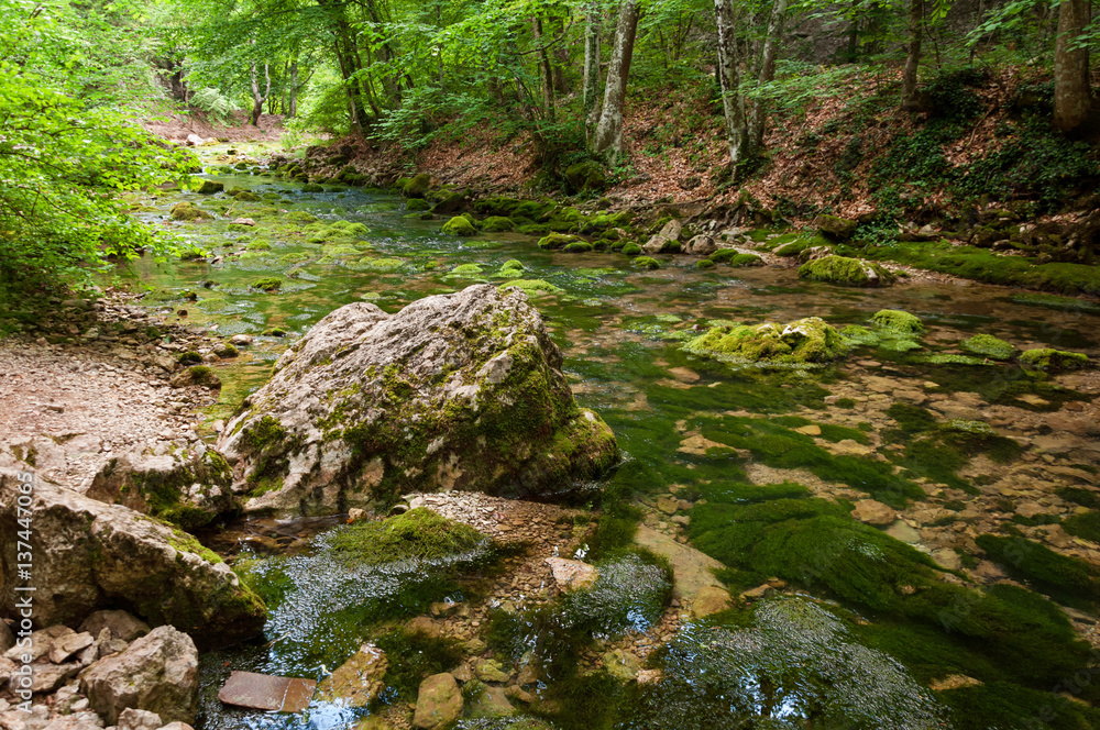 Forest stream running over mossy rocks. The mountain river in Crimea Forest stream running over mossy rocks. The mountain river in Crimea