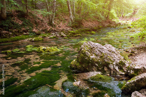 Forest stream running over mossy rocks. The mountain river in Crimea