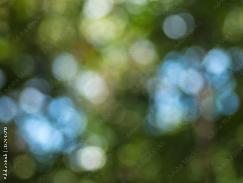 Natural green blurred bokeh background.