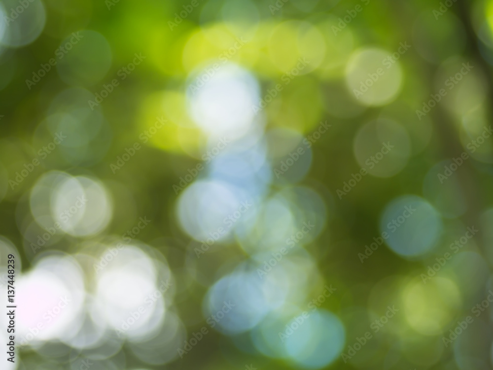 Natural green blurred bokeh background. Natural green blurred bokeh background.