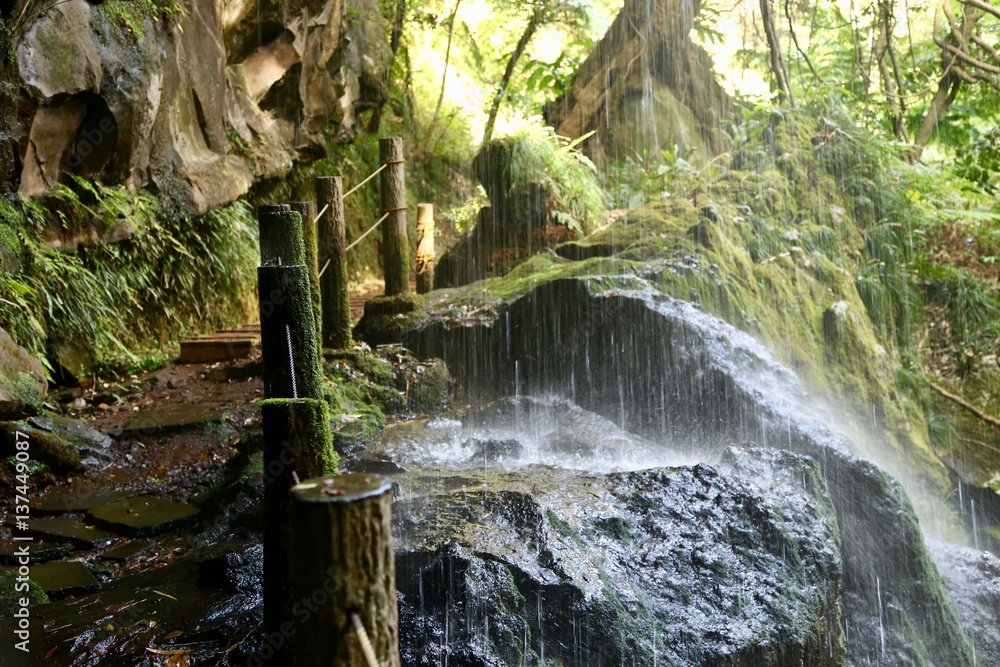 Obraz premium 裏見ヶ滝