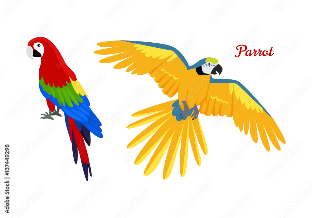 Ara parrot flat design vector illustration