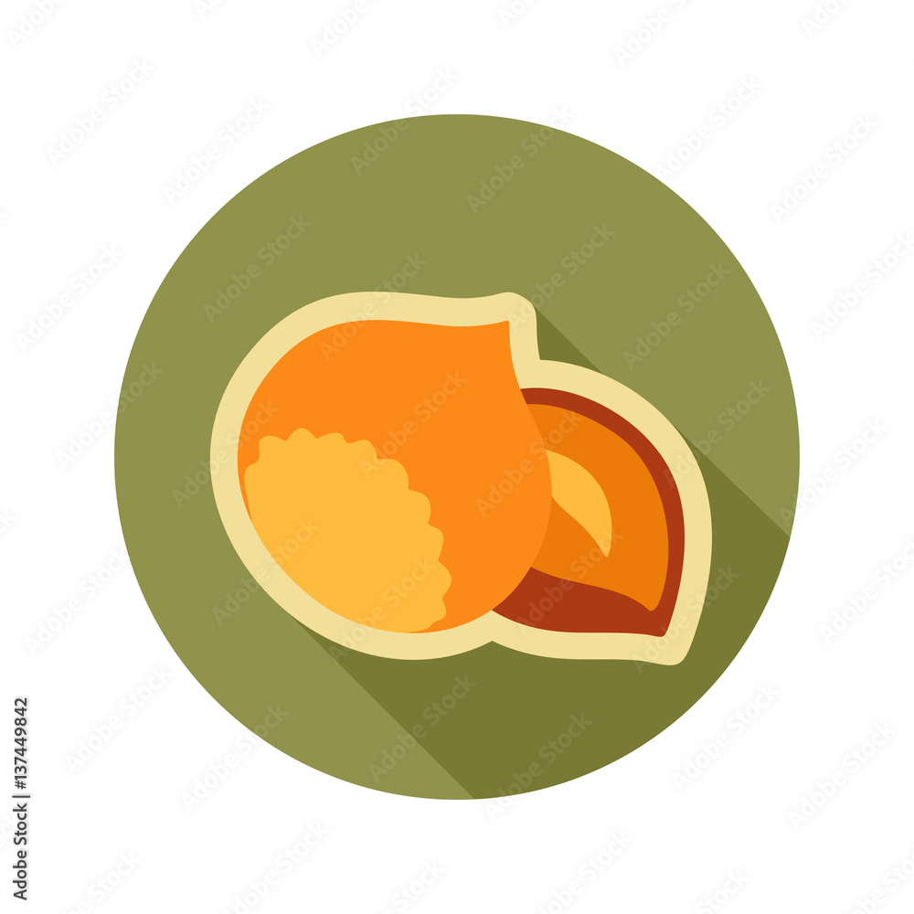 Nut flat icon. Fruit