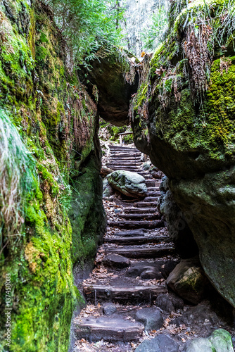 Felsportal mit Treppe in waldiger Umgebung im Elbsandsteingebirge in Sachsen Deutschland