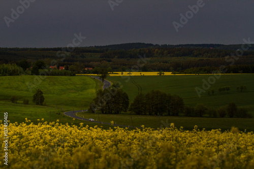 Bärenrode im Harz Dorf und Rapsfeld