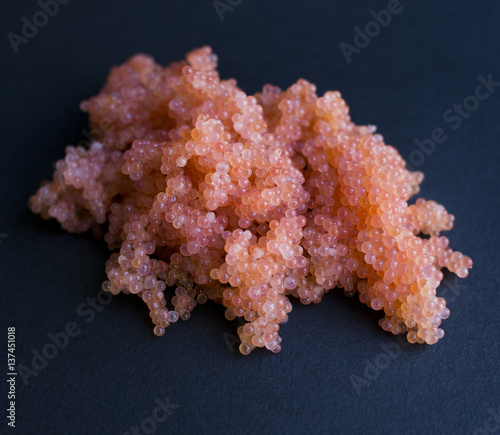 Fotografie Lumpfish roe isolated on dark background