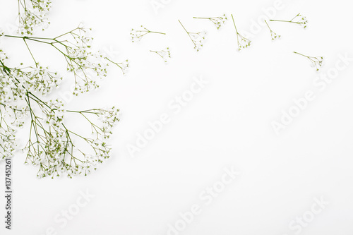 Floral composition with white flowers on white background. Flatlay  copy space  mockup.