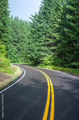 Beautiful Paved Road Meandering Through the Forest - Vertical