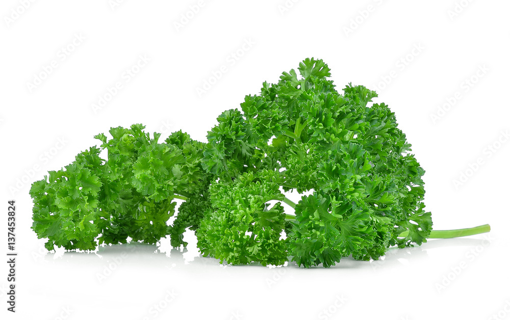 parsley isolated on white background parsley isolated on white background