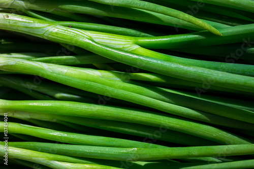 Close up fresh young onion,bunch of fresh shallots,Fresh chives, fresh young onion,green onions feathers heap macro surface texture,Bunches of spring green shallots scallion onions 