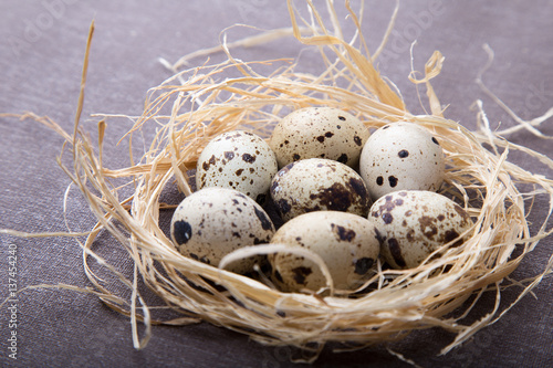 Quail eggs in a nest. Healthy food concept.