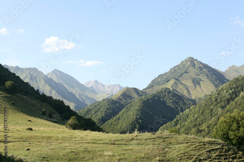 Meadow in Caucasus mountains , Georgia