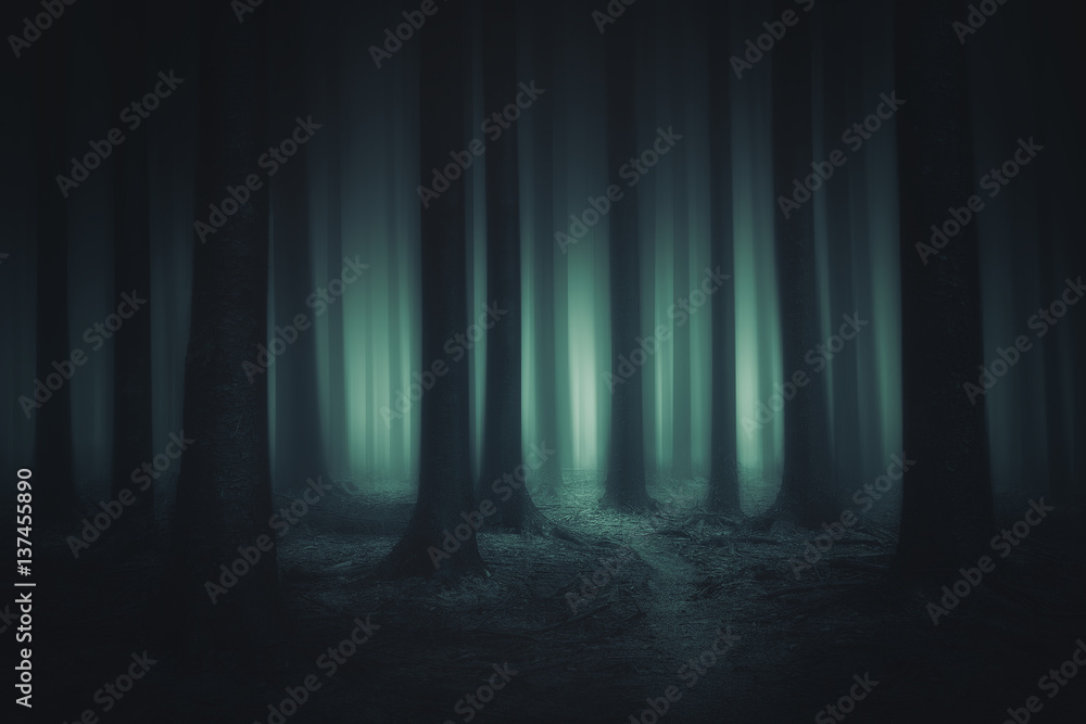 Naklejka premium ciemny i przerażający las
