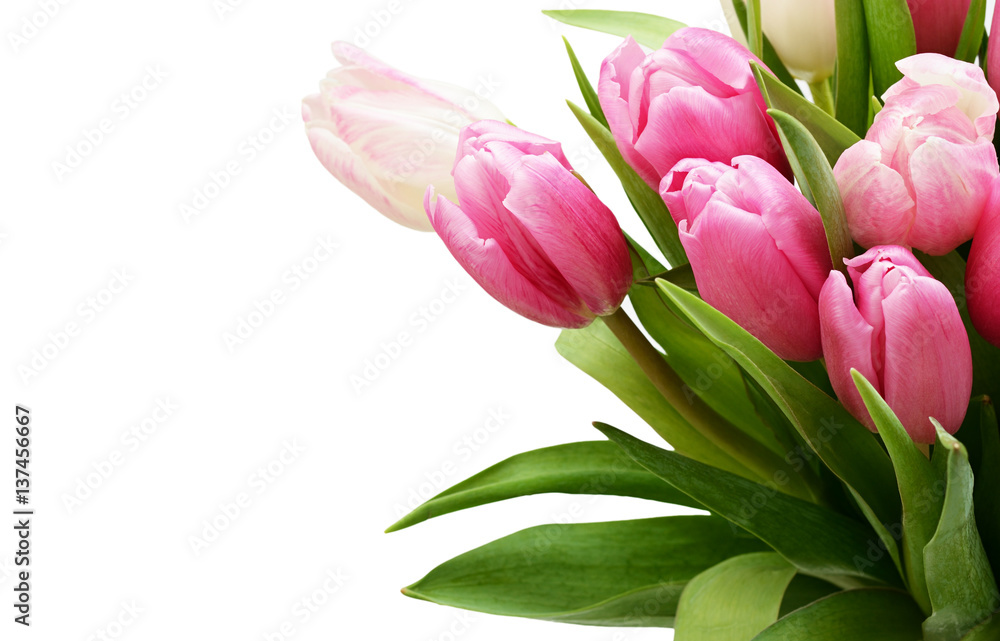 Obraz premium Pink tulip flowers bouquet