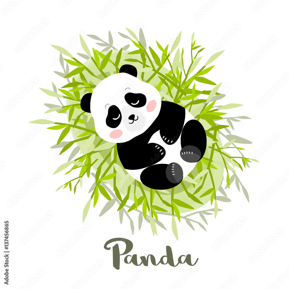 Obraz premium Young Panda lies on bamboo leaves, vector illustration
