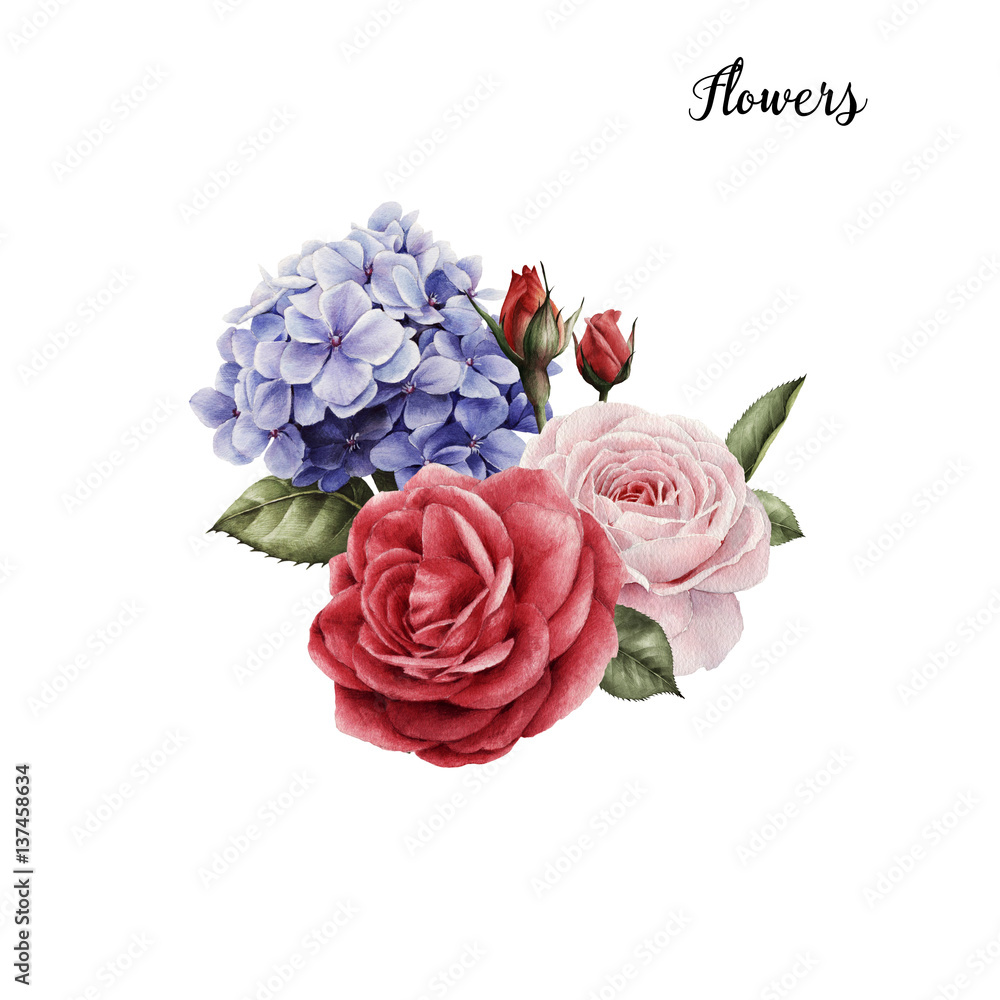 Bouquet of roses, watercolor, can be used as greeting card, invitation card for wedding, birthday and other holiday and  summer background.
