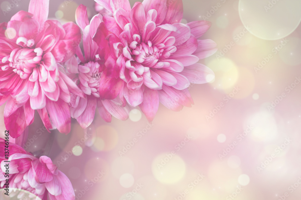 Pink flowers greeting card in pastel colors