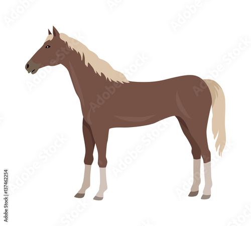 Sorrel Horse Vector Illustration in Flat Design