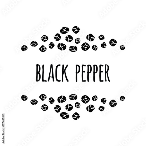 Black pepper spice. Sketch style vector illustration of papper. Frame. Food design element.