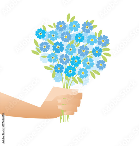 blue tender forget-me-not  ...
