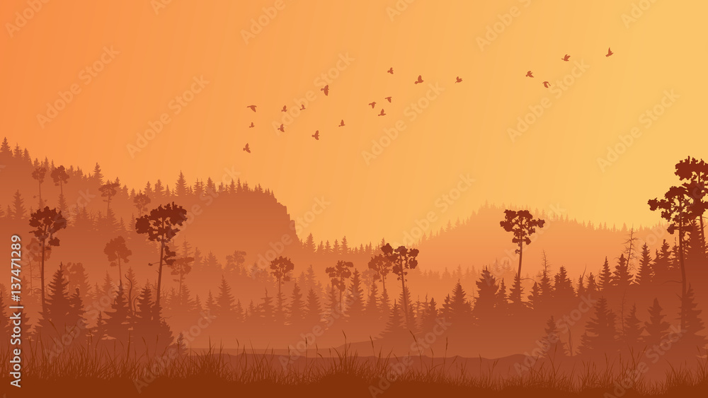 Horizontal illustration of forest with grass at sunset.