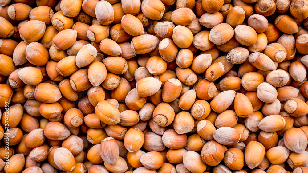 Nuts. nuts background pattern. Texture Nuts. nuts background pattern. Texture