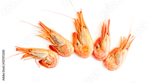 Shrimp isolated on white background.