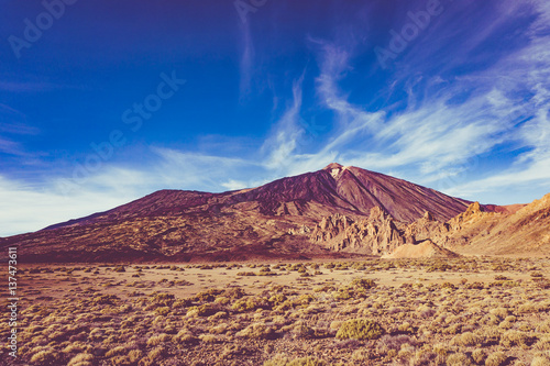 Teide National Park, Tenerife, Canary Islands, Spain