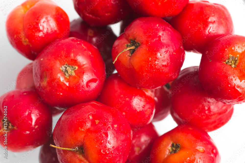 Brazilian Acerola Cherry Brazilian Acerola Cherry