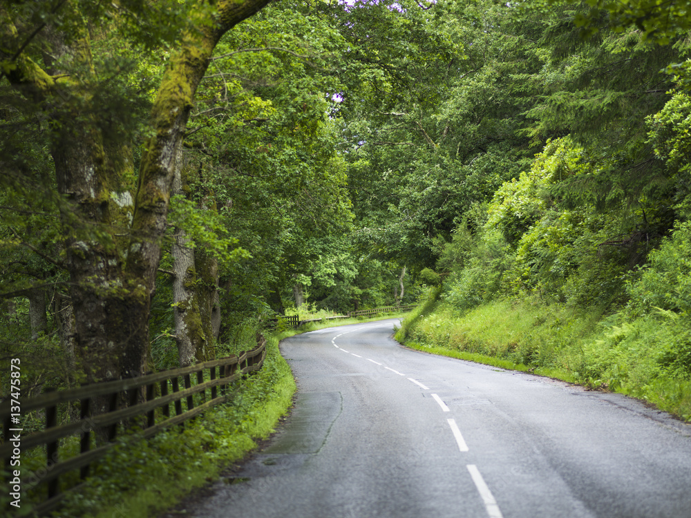 A road lined with lush trees and foliage and a wooden fence; Dunkeld, Perth and Kinross, Scotland A road lined with lush trees and foliage and a wooden fence; Dunkeld, Perth and Kinross, Scotland