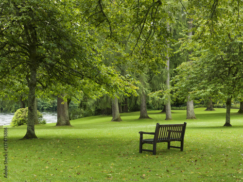 A bench on lush grass in a park by a river; Dunkeld, Perth and Kinross, Scotland photo