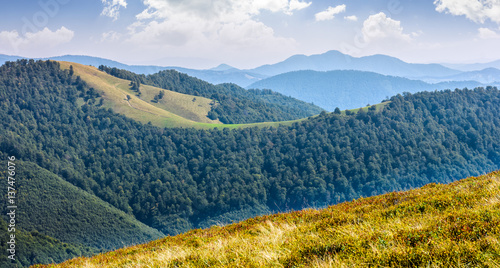 grassy hillside on mountain in summer © Pellinni
