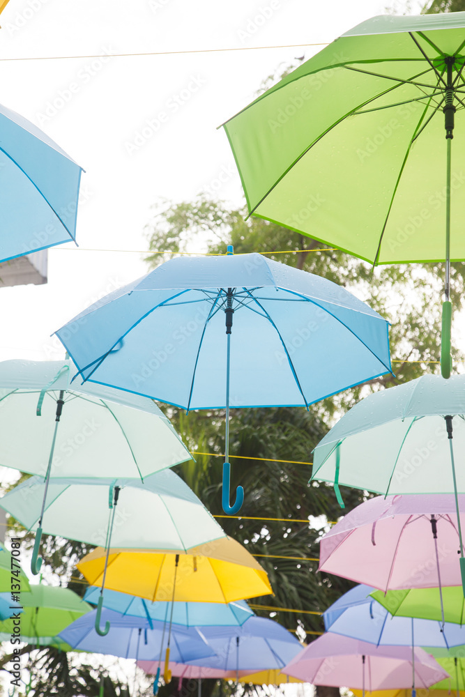 Umbrella variety of colors
