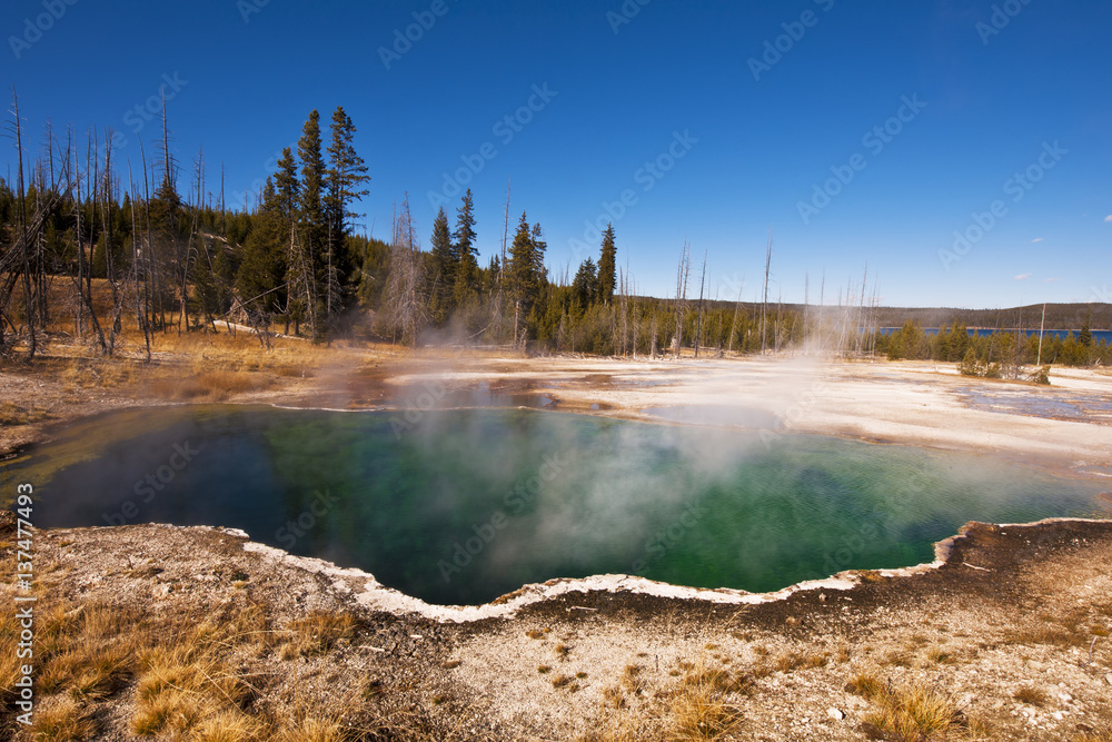 Hot springs in Yellowstone National Park; Wyoming, United States of America Hot springs in Yellowstone National Park; Wyoming, United States of America