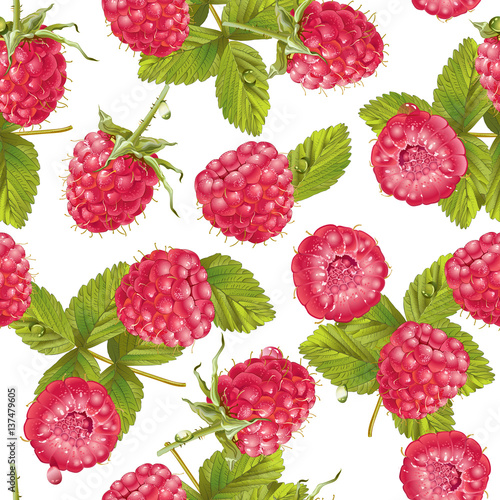 Vector raspberry pattern