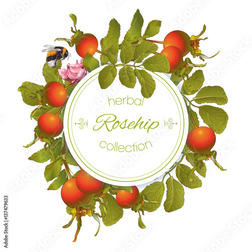 Rose hip round banner